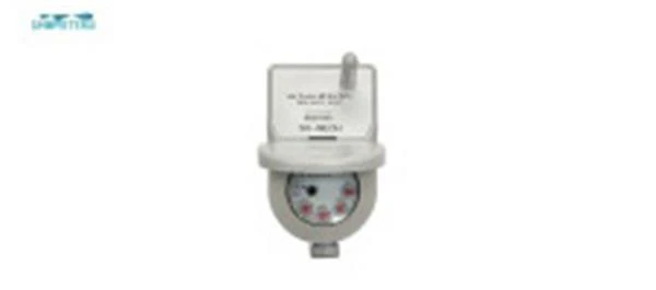 Lora AM- AMR-watermeters-100-100