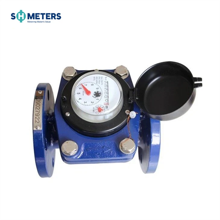Industriële Woltman-watermeter met verwijderbaar element