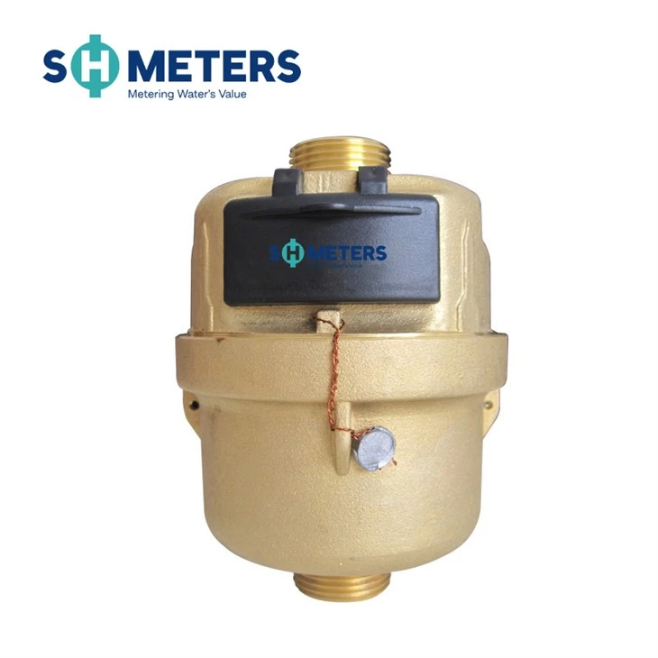 Volumetrische watermeter met messing behuizing R250 voor woningen